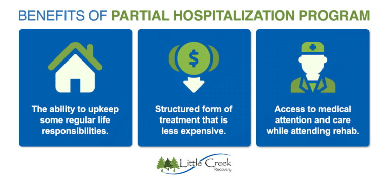 partial hospitalization 