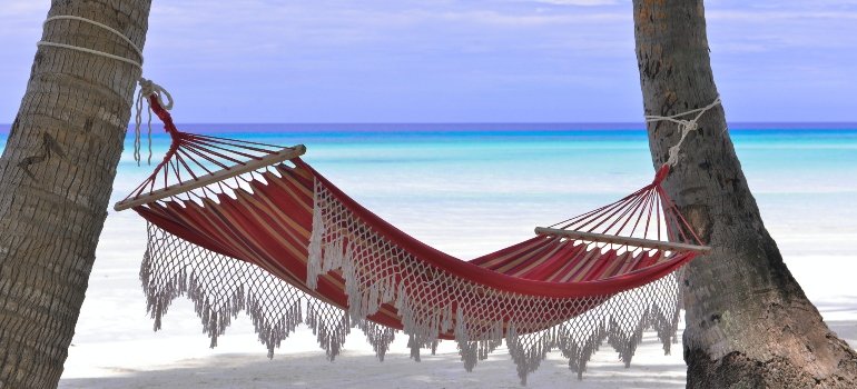 a hammock