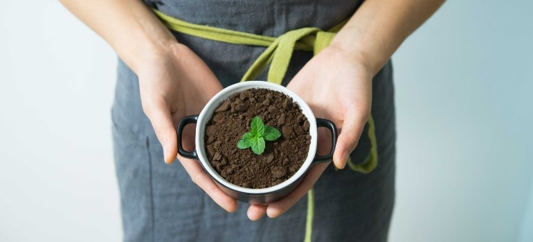 person holding a potted plant