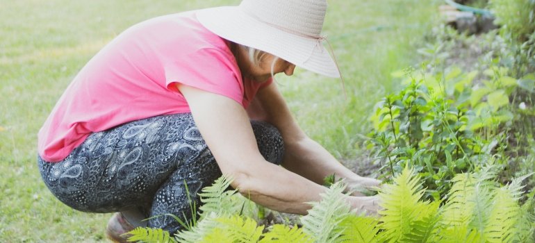 person doing gardening
