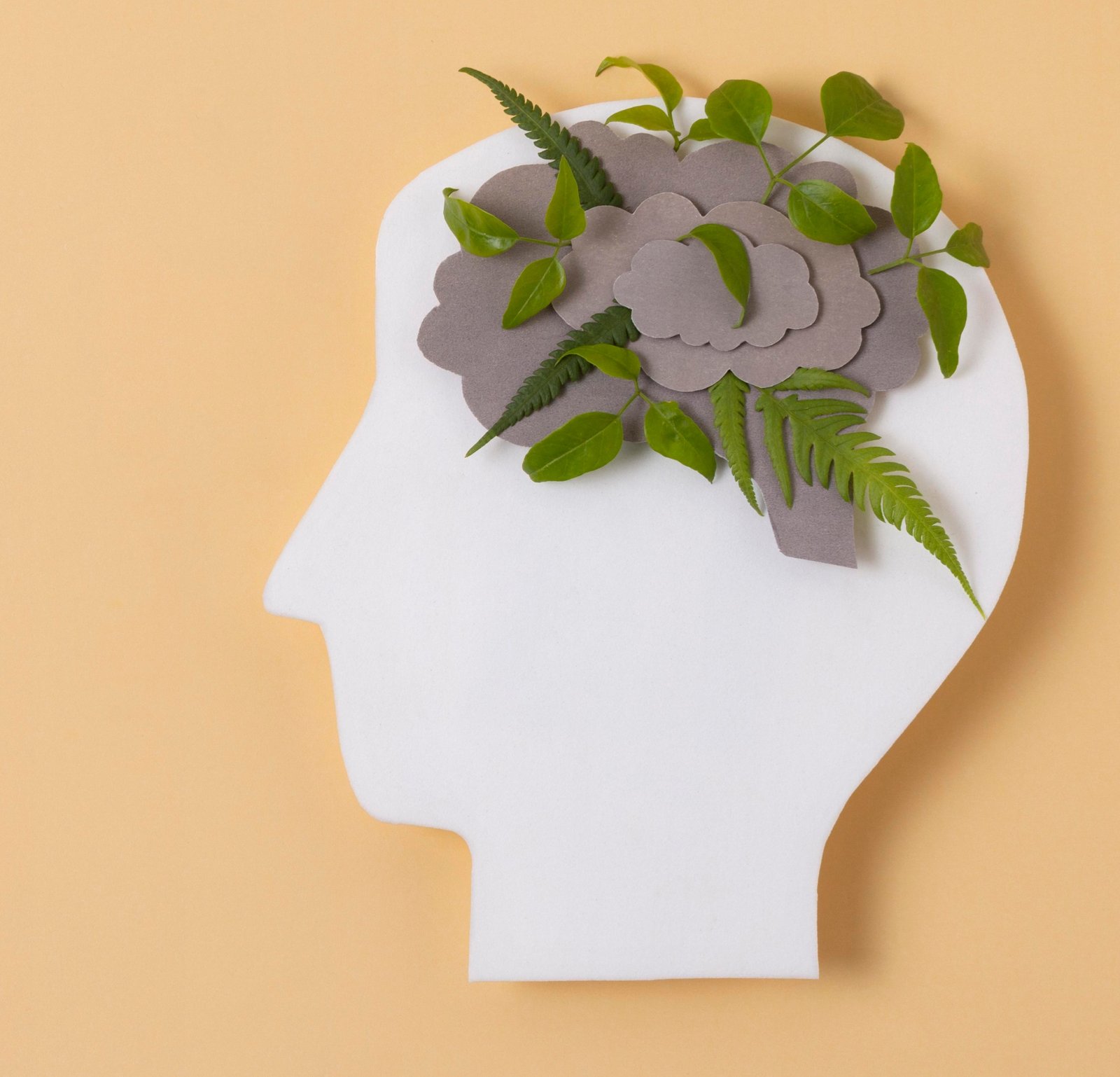 Paper head with leafs, representing Early Stages of Recovery