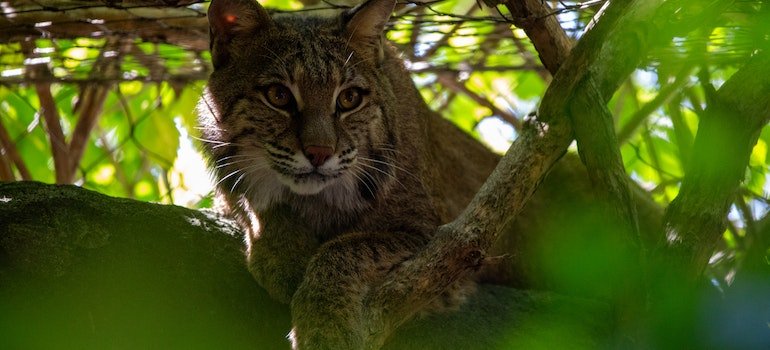 You will be happy to take on a wild adventure through New Jersey's zoos and aquariums.