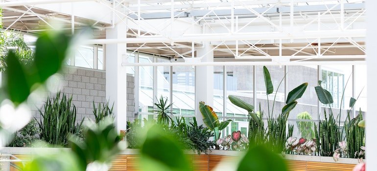 New Jersey Botanical Garden in Ringwood—it is like a plant paradise.