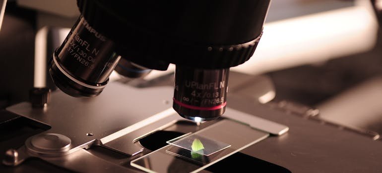 Sample under a microscope.