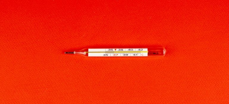 A thermometer to measure how Amphetamines Impact Body Temperature