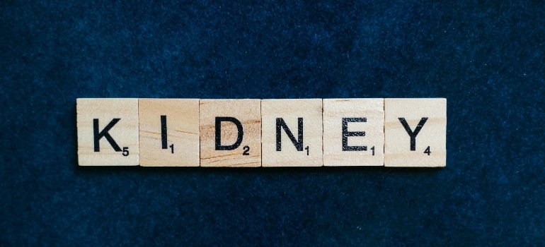 letters spelling out kidney