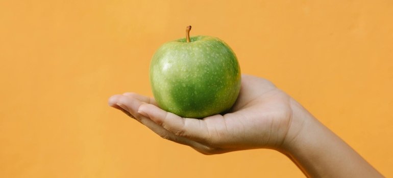 a person holding an apple in the hand 