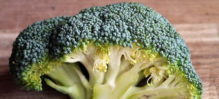 Close up of a broccoli head, one of the best foods for detoxing from drugs.