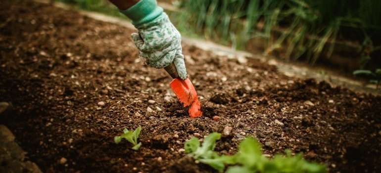 Person digging a hole in the ground while doing gardening work.
